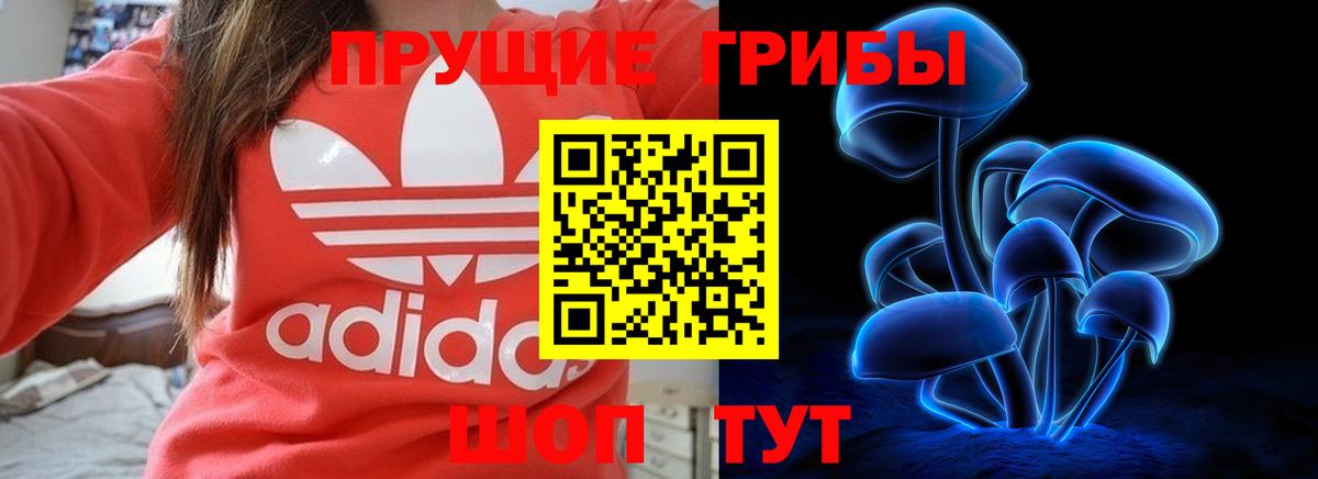 Псилоцибиновые грибы Magic Shrooms  Галлюциногенные грибы Cubensis  закладка  Вход с VPN  Обнинск 